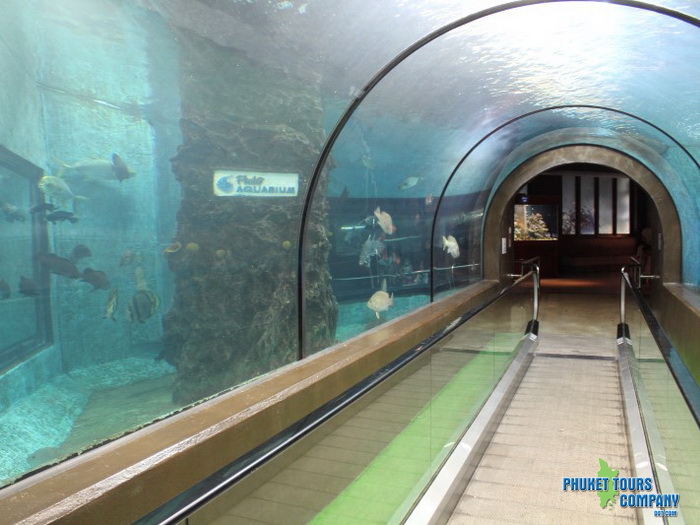 Phuket Aquarium